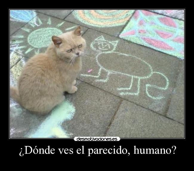 ¿Dónde ves el parecido, humano? - 