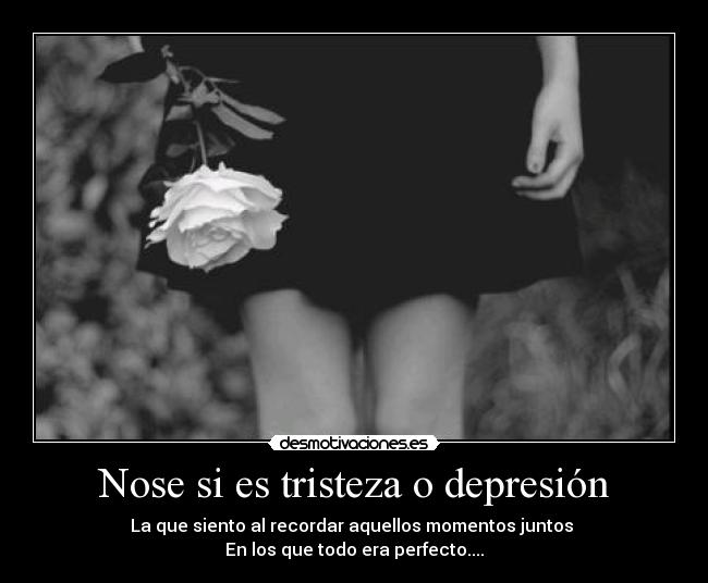 Nose si es tristeza o depresión - La que siento al recordar aquellos momentos juntos
En los que todo era perfecto....