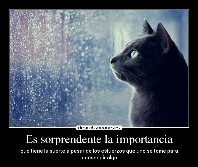 Es sorprendente la importancia -