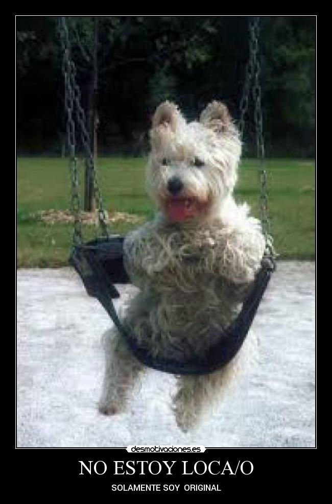 NO ESTOY LOCA/O - 