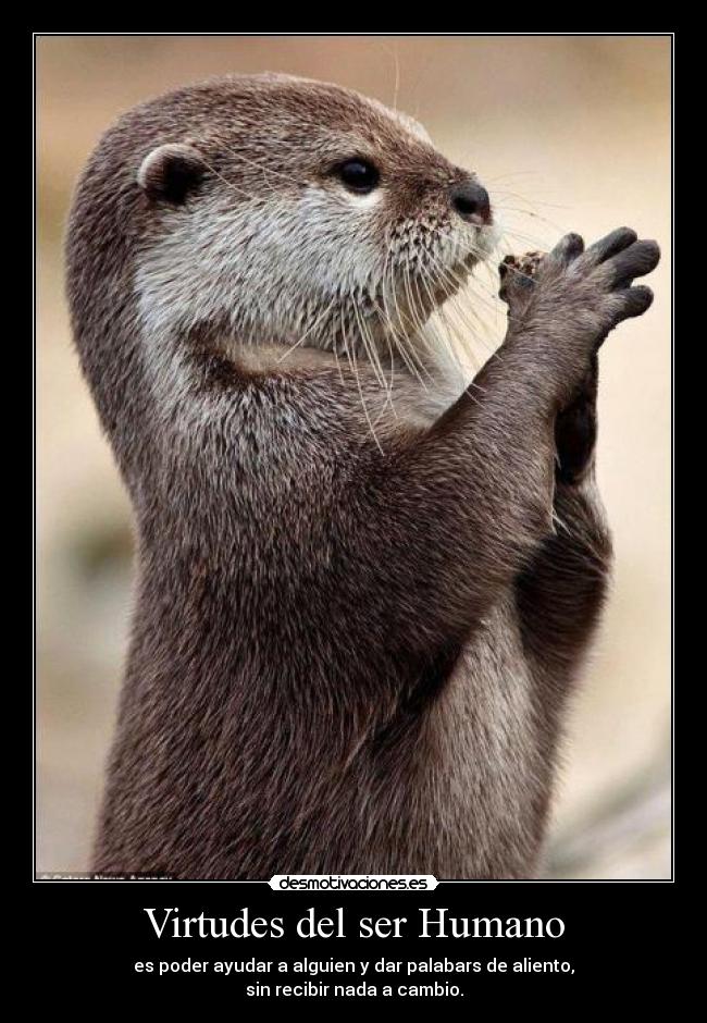 Virtudes del ser Humano - es poder ayudar a alguien y dar palabars de aliento,
sin recibir nada a cambio.
