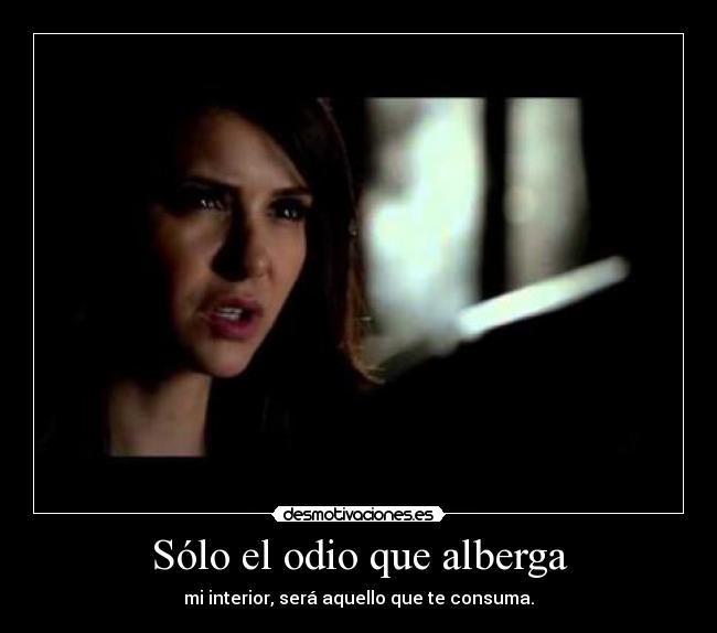 carteles odio pachusdefresa cronicas vampiricas tvd 4x22 desmotivaciones