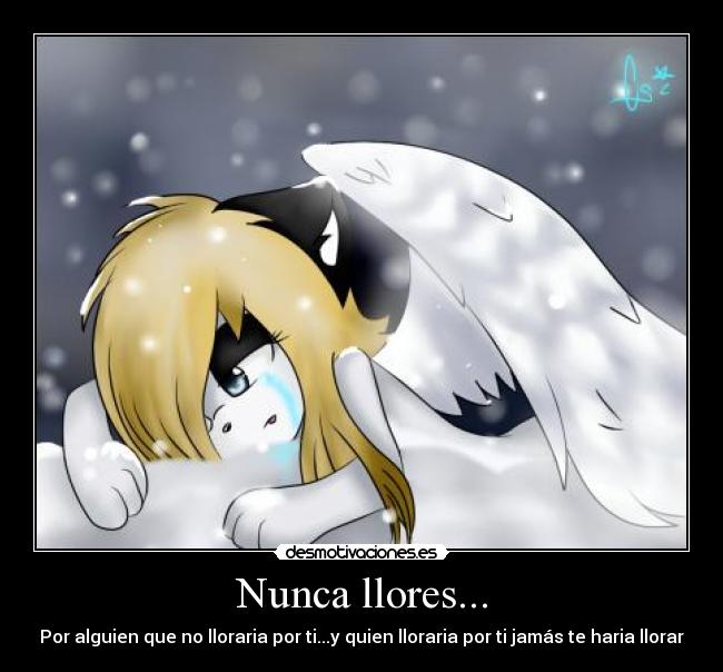 Nunca llores... - Por alguien que no lloraria por ti...y quien lloraria por ti jamás te haria llorar