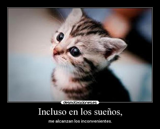 Incluso en los sueños, -