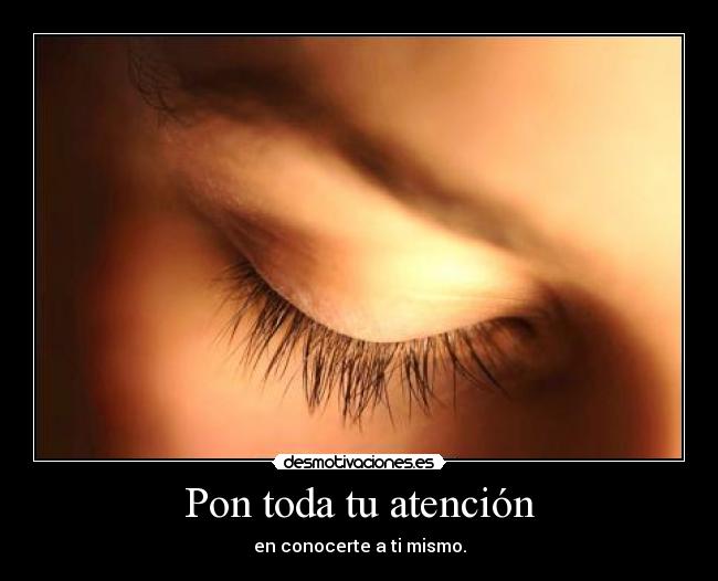 Pon toda tu atención -
