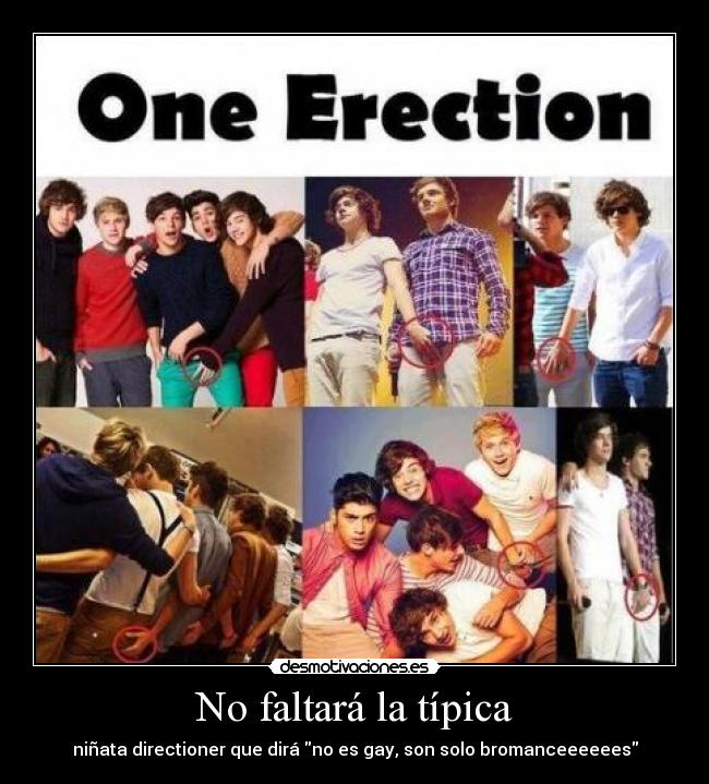 No faltará la típica - niñata directioner que dirá no es gay, son solo bromanceeeeees