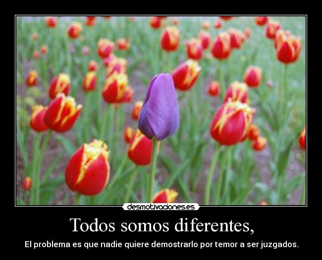 Todos somos diferentes, -