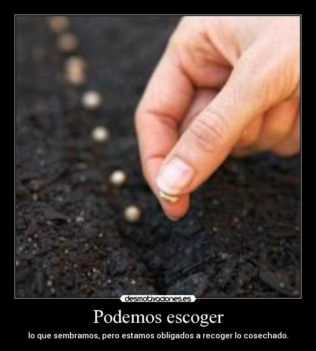 Podemos escoger - lo que sembramos, pero estamos obligados a recoger lo cosechado.