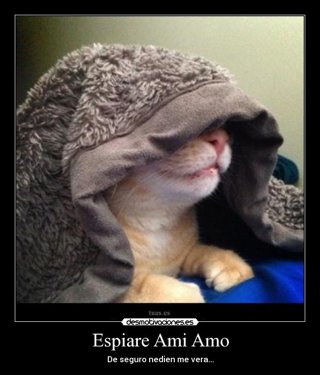 carteles jejeje desmotivaciones