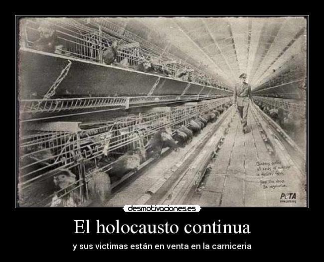 El holocausto continua - y sus victimas están en venta en la carniceria