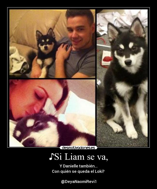 ♪Si Liam se va, - Y Danielle también...
Con quién se queda el Loki? ♬

@DeyaNaomiRevi1