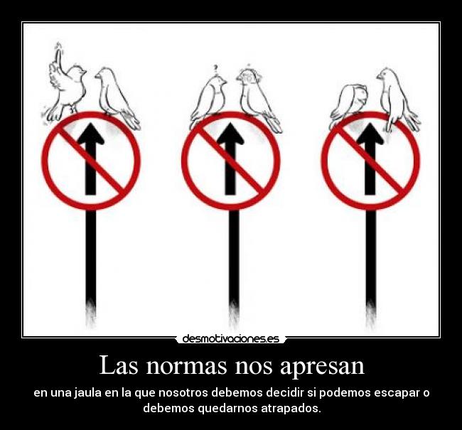 Las normas nos apresan -