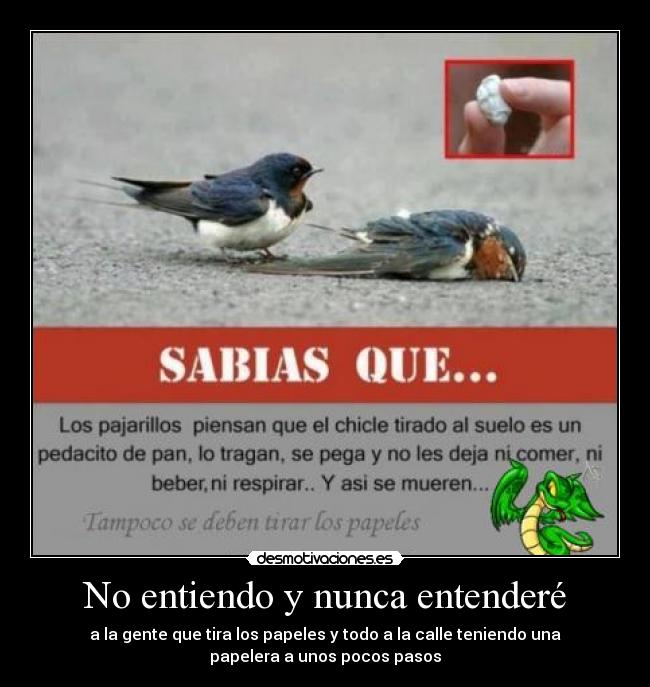 No entiendo y nunca entenderé - a la gente que tira los papeles y todo a la calle teniendo una
papelera a unos pocos pasos