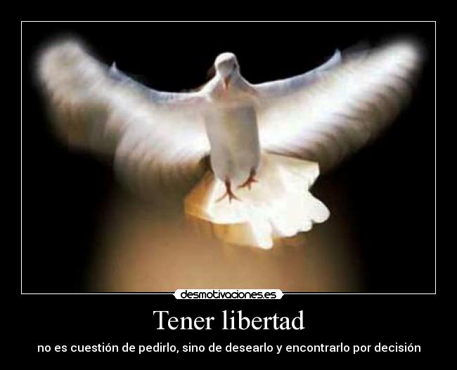 carteles libertad libertad desmotivaciones