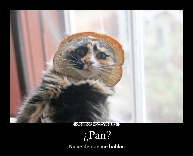 ¿Pan? - No se de que me hablas