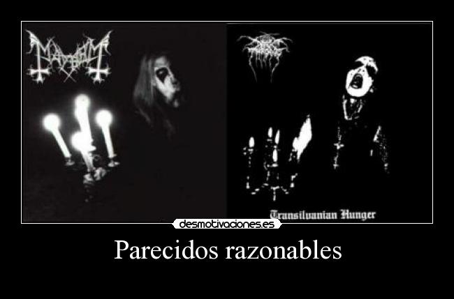 Parecidos razonables -