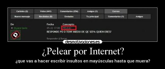 ¿Pelear por Internet? - 