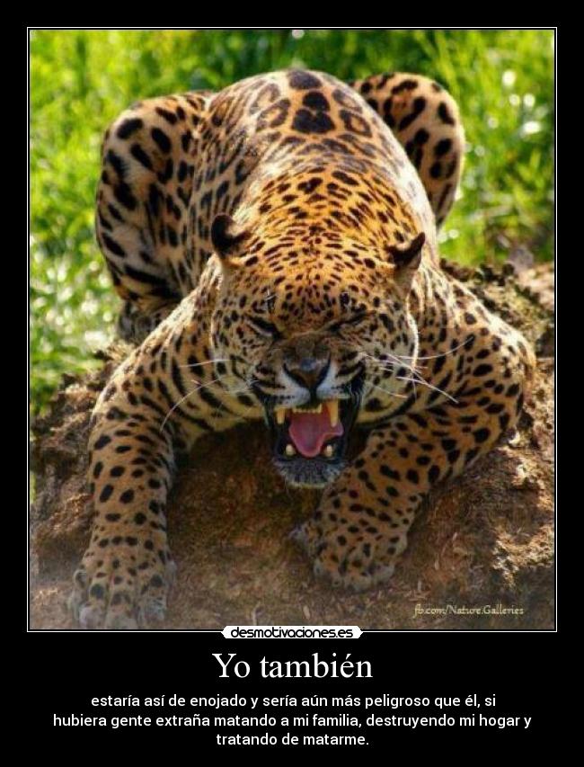 Yo también - estaría así de enojado y sería aún más peligroso que él, si
hubiera gente extraña matando a mi familia, destruyendo mi hogar y
tratando de matarme.