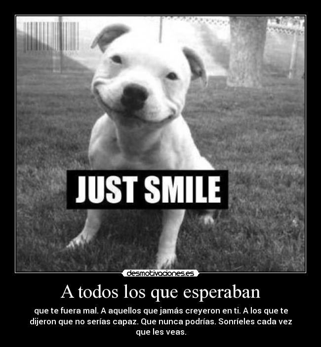 A todos los que esperaban - que te fuera mal. A aquellos que jamás creyeron en ti. A los que te
dijeron que no serías capaz. Que nunca podrías. Sonríeles cada vez
que les veas.
