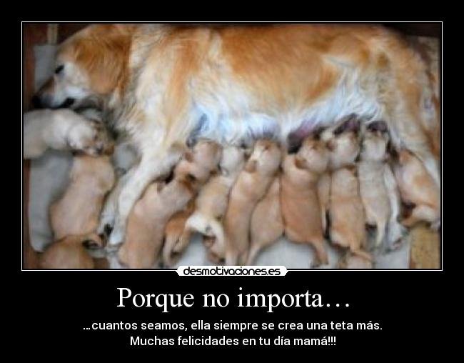Porque no importa… -