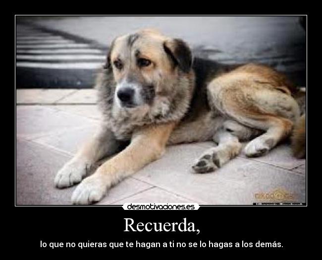 Recuerda, -