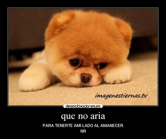 que no aria - PARA TENERTE AMI LADO AL AMANECER.
NR
