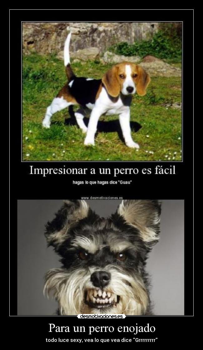 carteles cartel respuesta putas faltas resubido desmotivaciones