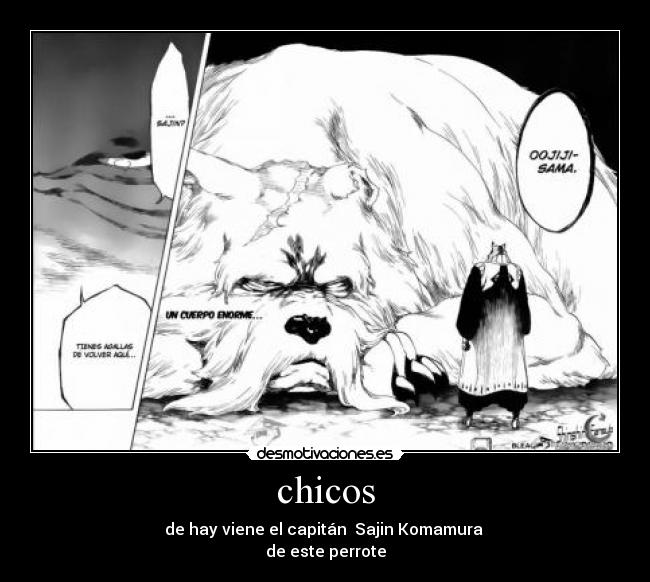 carteles bleach perrote sajin komamura desmotivaciones