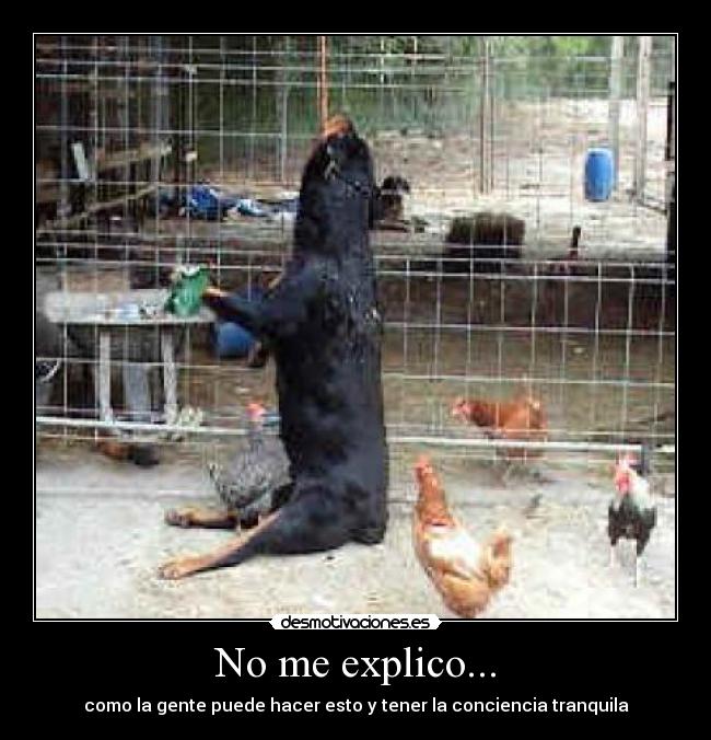 No me explico... - como la gente puede hacer esto y tener la conciencia tranquila