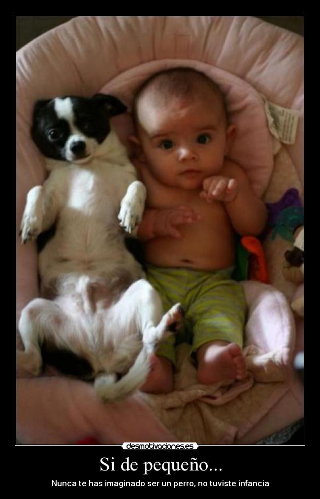 Si de pequeño... - Nunca te has imaginado ser un perro, no tuviste infancia