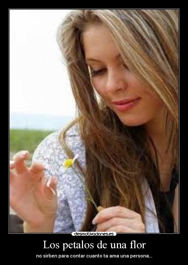 Los petalos de una flor - no sirben para contar cuanto ta ama una persona...