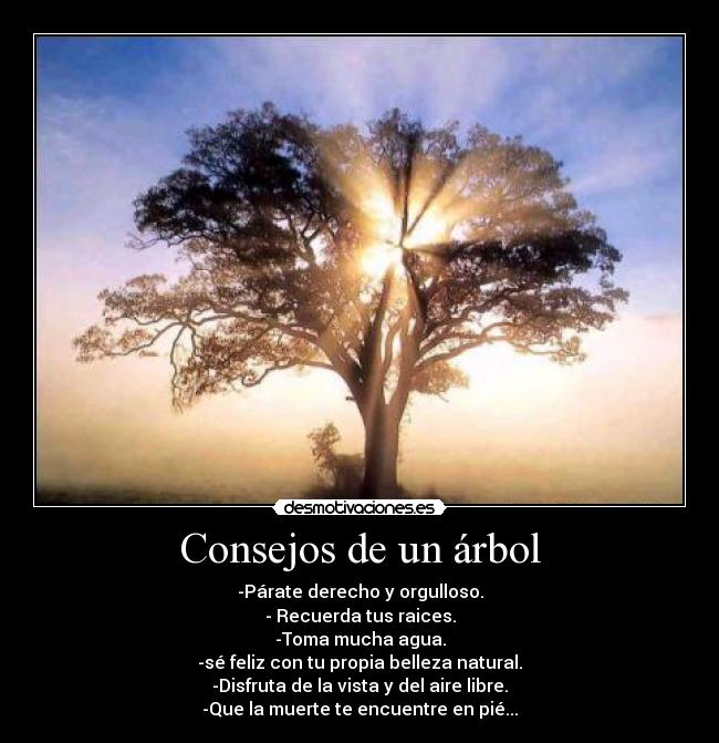 Consejos de un árbol - -Párate derecho y orgulloso.
- Recuerda tus raices.
-Toma mucha agua.
-sé feliz con tu propia belleza natural.
-Disfruta de la vista y del aire libre.
-Que la muerte te encuentre en pié...