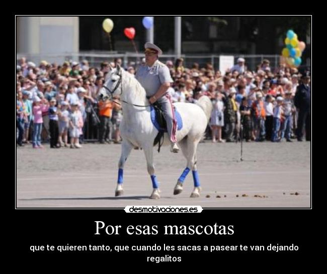 carteles por esas mascotas desmotivaciones