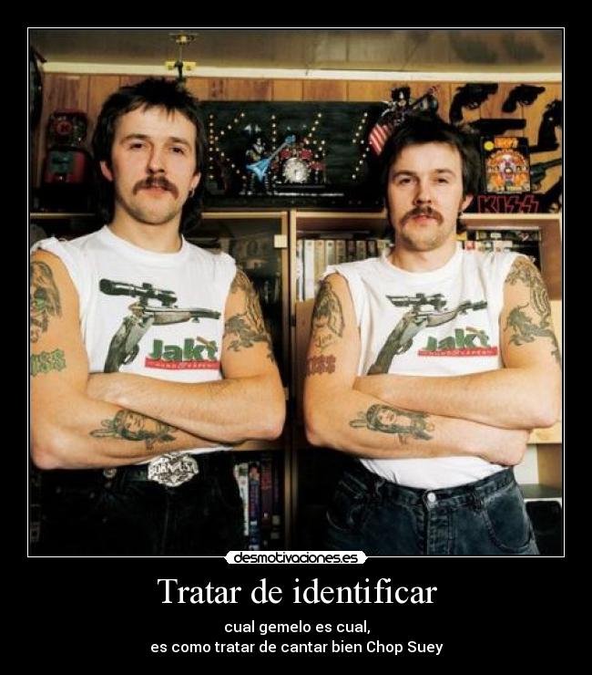 carteles gemelos identicos desmotivaciones