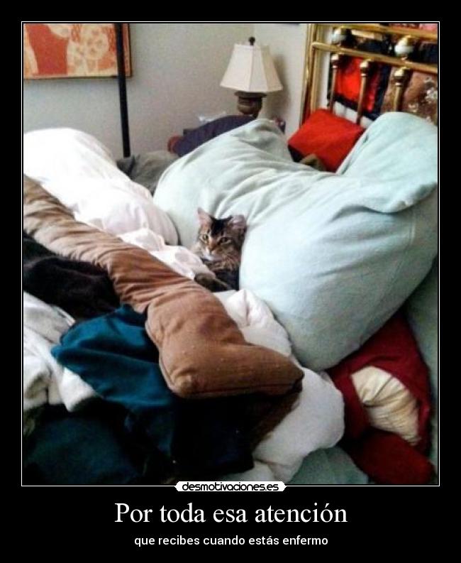 Por toda esa atención - 