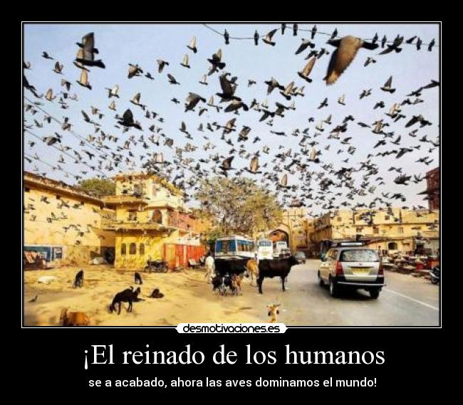 ¡El reinado de los humanos -