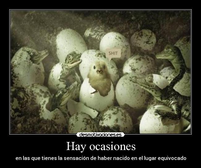 Hay ocasiones - 