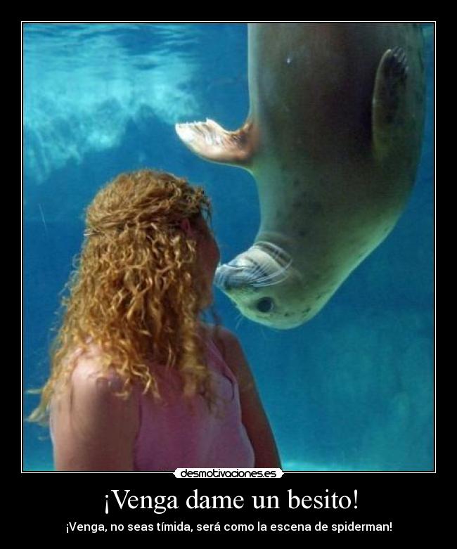 carteles venga desmotivaciones