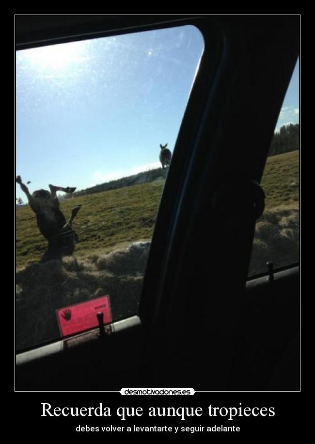 Recuerda que aunque tropieces -