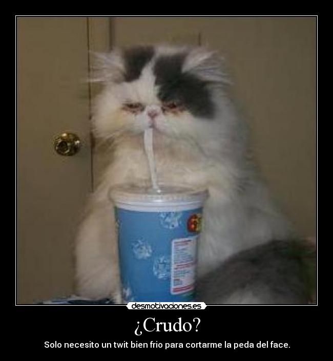 Imagenes Graciosas De Borrachos Crudos | im 225 genes y carteles de crudo desmotivaciones Imagenes Graciosas De Borrachos Crudos | im 225 genes y carteles de crudo desmotivaciones