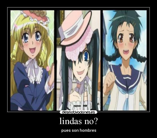lindas no? - 