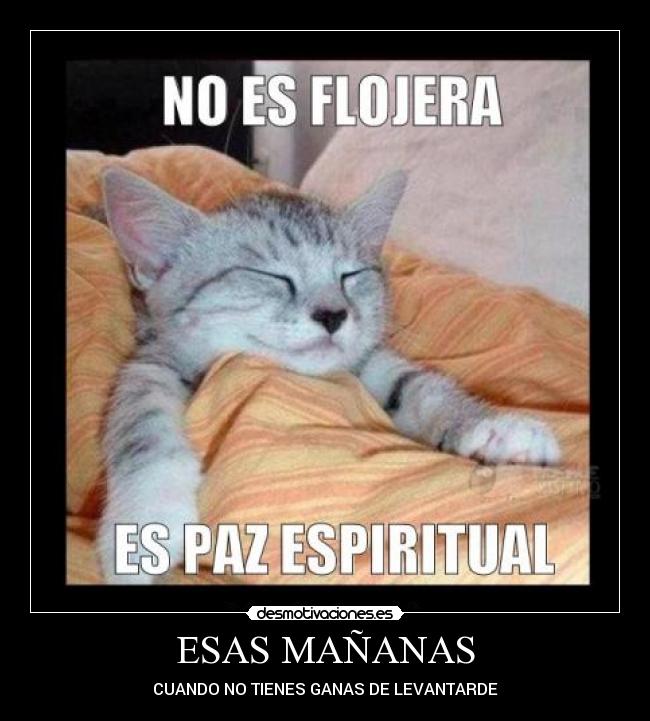 ESAS MAÑANAS - CUANDO NO TIENES GANAS DE LEVANTARDE