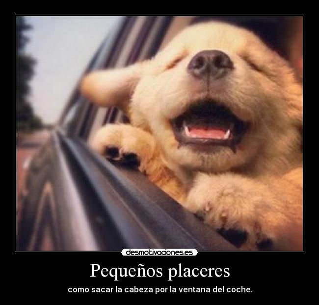 Pequeños placeres - 