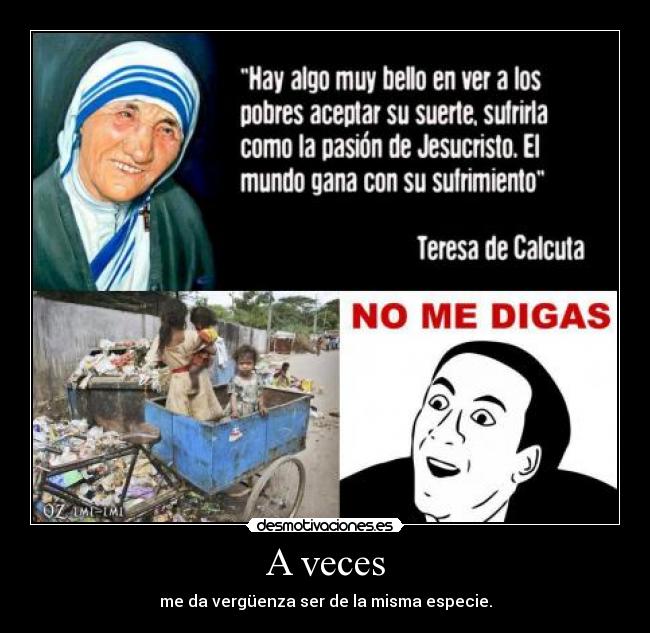 carteles ojala pudiese ser ave desmotivaciones