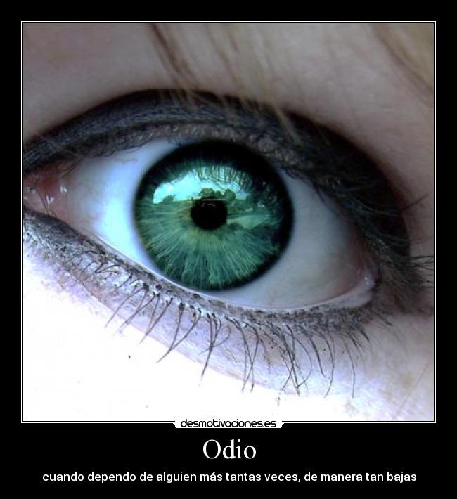 Odio - 