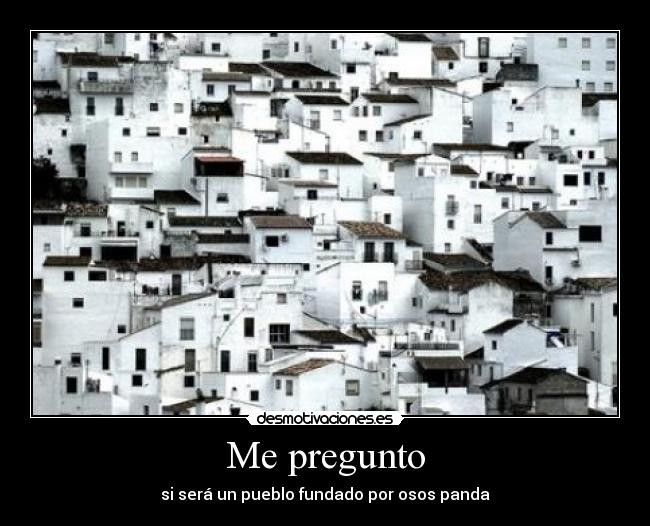 carteles pregunto sera pueblo fundado osos panda desmotivaciones