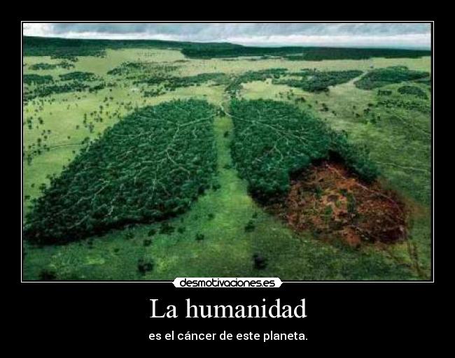 carteles trste desmotivaciones