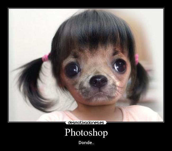 Photoshop - 