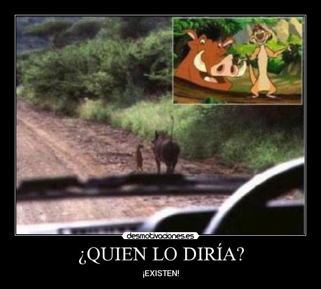 ¿QUIEN LO DIRÍA? -