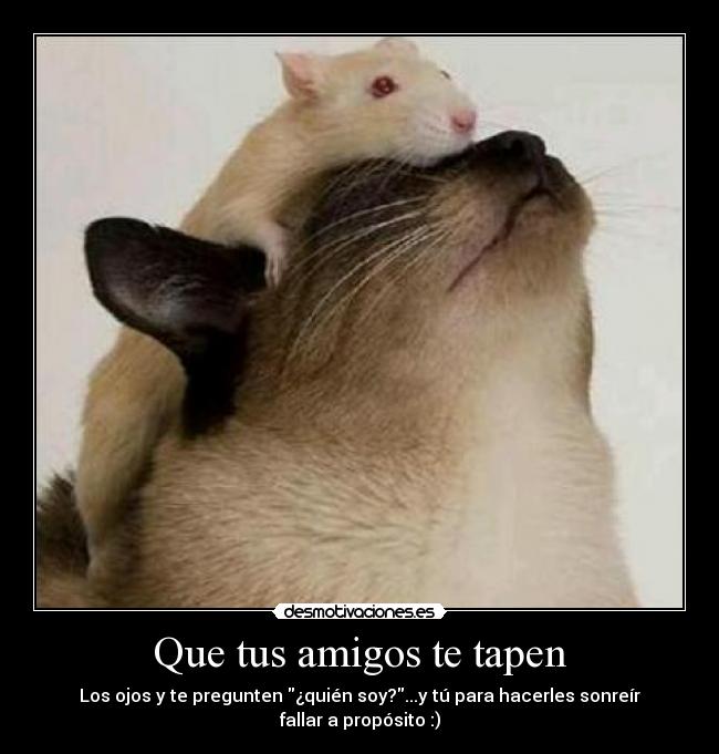 Que tus amigos te tapen - Los ojos y te pregunten ¿quién soy?...y tú para hacerles sonreír
fallar a propósito :)
